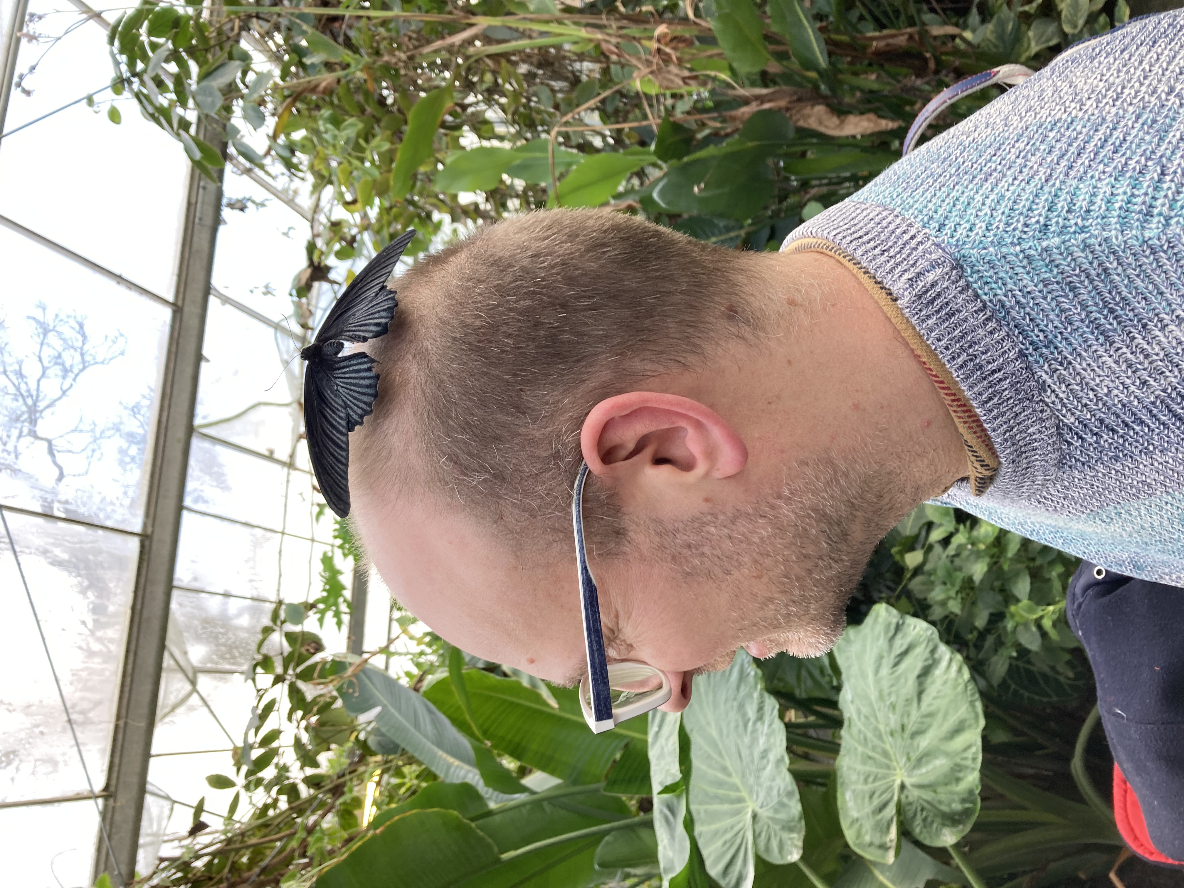 Vincent Meunier et un papillon